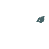 Sandrine Gondy Naturopathe Lyon Logo