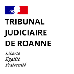 tribunal-judiciaire-roanne-sandrine-gondy-naturopathe-naturopathie-lyon